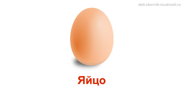яйцо - предмет овальной формы