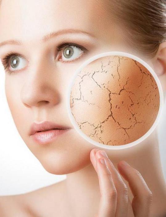 косметология строение кожи лица
