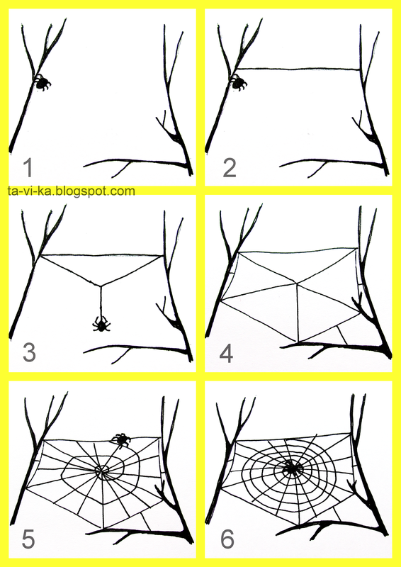 как паук плетет паутину