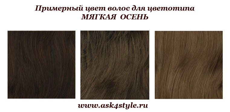 примерные цвета волос для цветотипа Мягкая Осень