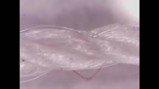 Капроновая нить под микроскопом
