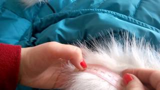 DIY : Cъемная опушка на капюшон / Removable fur on the jacket