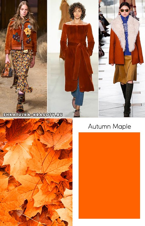 Модные цвета осень-зима 2017-2018