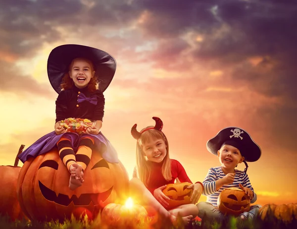 Детей и тыквы на Хэллоуин — стоковое фото