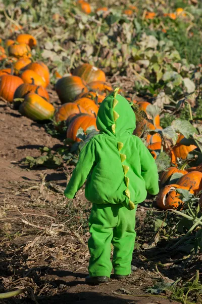 Малыш в Хеллоуин костюм — стоковое фото